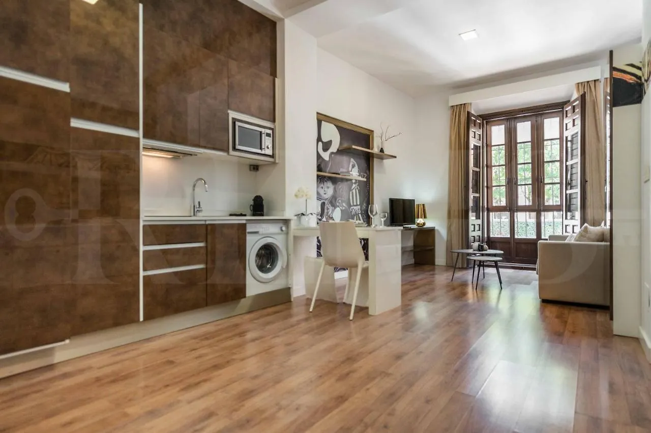 Central & Cosy Studio In Front Of Picasso Museum By Rems Apartment Malaga Spain